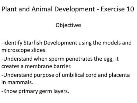 Plant and Animal Development - Exercise 10