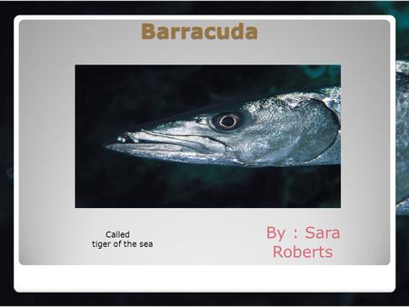 Barracuda By : Sara Roberts Called tiger of the sea.