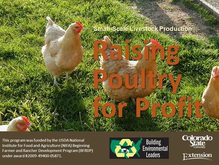 Small-Scale Livestock Production Raising Poultry for Profit Small-Scale Livestock Production Raising Poultry for Profit This program was funded by the.