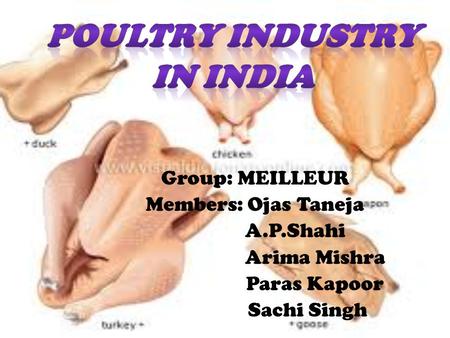 POULTRY industry in india