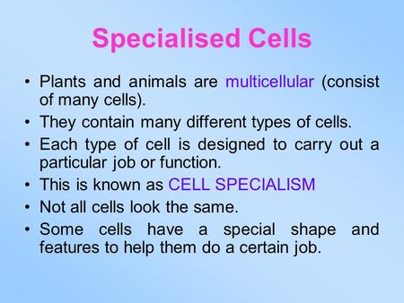 Specialised Cells Plants and animals are multicellular (consist of many cells). They contain many different types of cells. Each type of cell is designed.