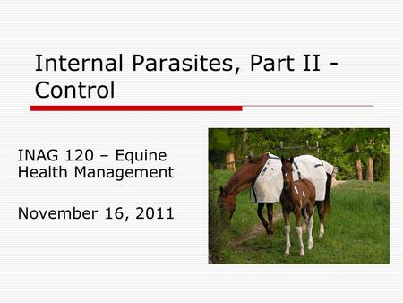 Internal Parasites, Part II - Control INAG 120 – Equine Health Management November 16, 2011.