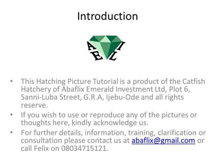 Introduction This Hatching Picture Tutorial is a product of the Catfish Hatchery of Abaflix Emerald Investment Ltd, Plot 6, Sanni-Luba Street, G.R.A, Ijebu-Ode.