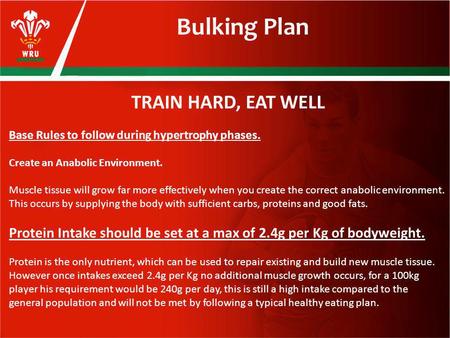 Bulking Plan TRAIN HARD, EAT WELL Base Rules to follow during hypertrophy phases. Create an Anabolic Environment. Muscle tissue will grow far more effectively.