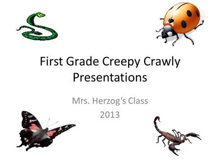 First Grade Creepy Crawly Presentations