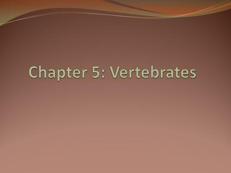 Chapter 5: Vertebrates.