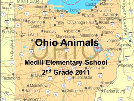 Medill Elementary School 2nd Grade 2011