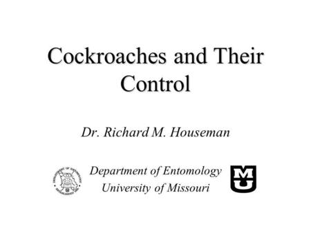 Cockroaches and Their Control