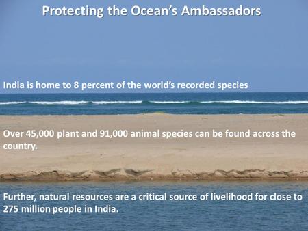 Protecting the Oceans Ambassadors India is home to 8 percent of the worlds recorded species Over 45,000 plant and 91,000 animal species can be found across.