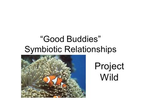 “Good Buddies” Symbiotic Relationships