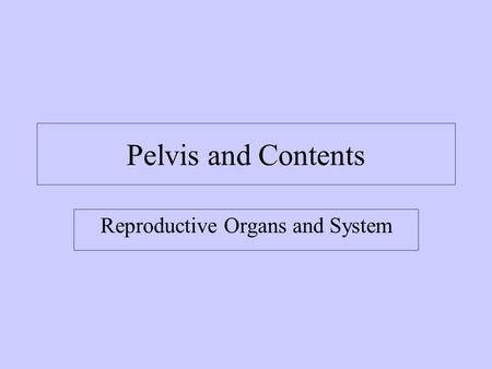 Reproductive Organs and System
