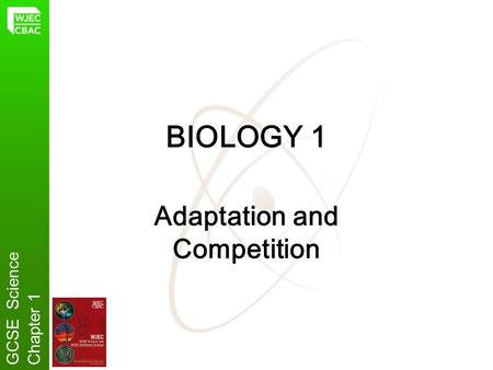 Adaptation and Competition