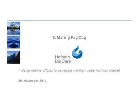 8. Maring Fag Dag - Using marine offcuts to penetrate the high value nutrition market 29. November 2012.