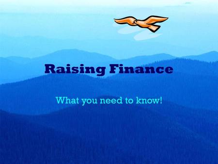 Raising Finance What you need to know!.