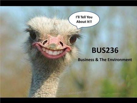 I’ll Tell You About It!! BUS236 Business & The Environment.
