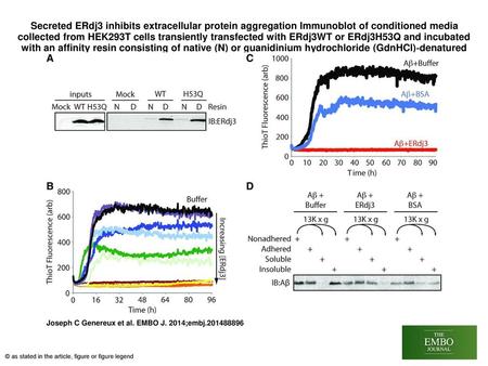 Secreted ERdj3 inhibits extracellular protein aggregation Immunoblot of conditioned media collected from HEK293T cells transiently transfected with ERdj3WT.