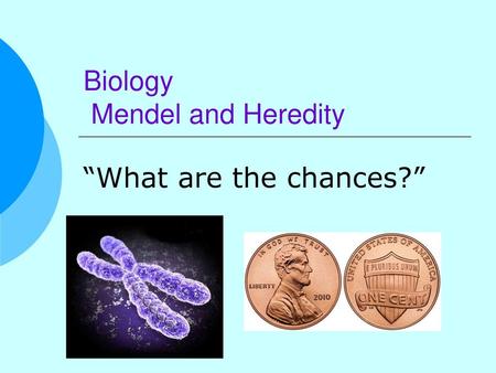 Biology Mendel and Heredity