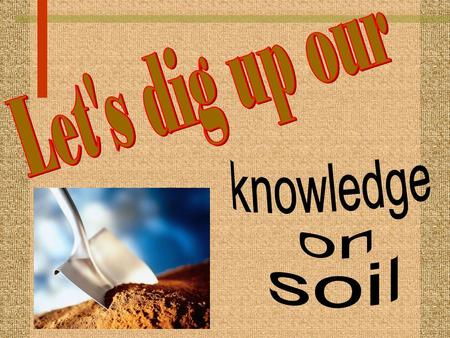 Let's dig up our knowledge on soil.