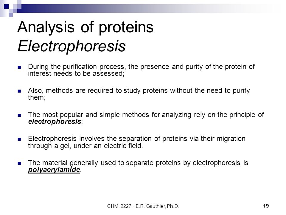 Analysis Of Proteins 11