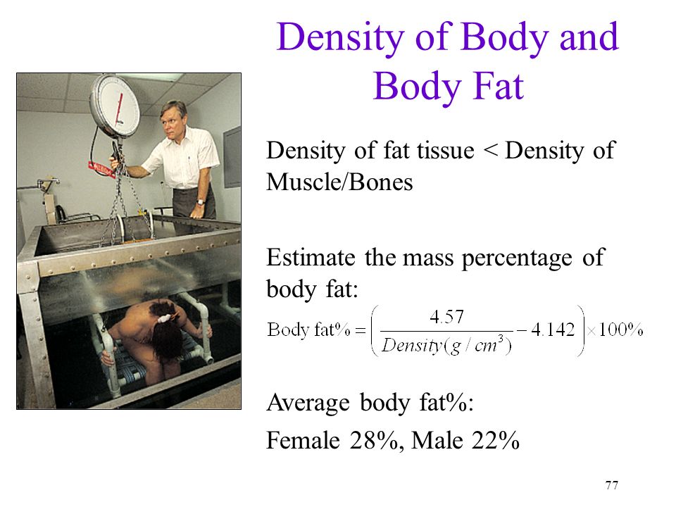 Density Of Human Fat 55