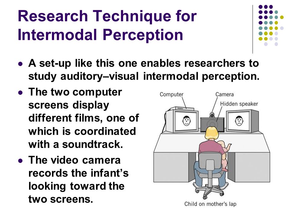 intermodal perception definition magdalene project org intermodal perception definition