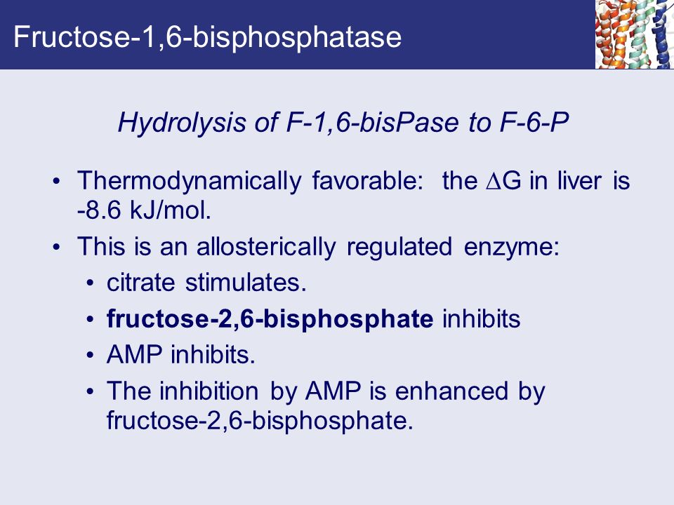Gluconeogenesis fructose 1 6 bisphosphatase deficiency