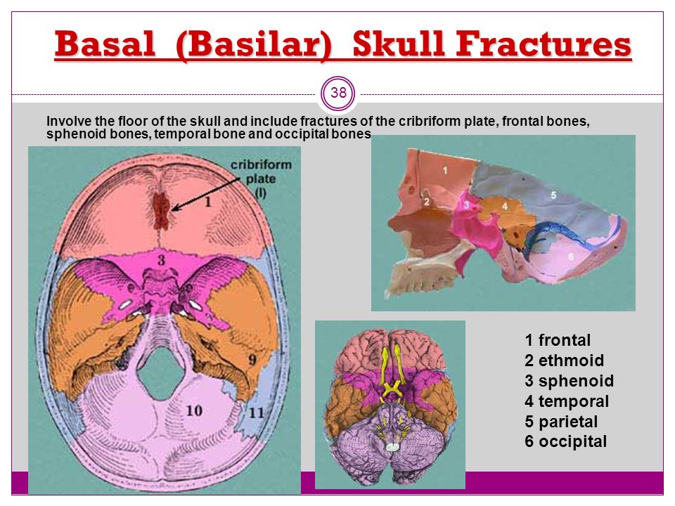 download dealing with medical knowledge computers