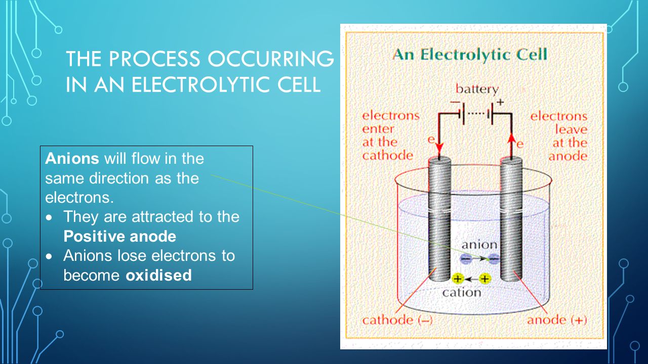 ebook luminescence applications in biological chemical