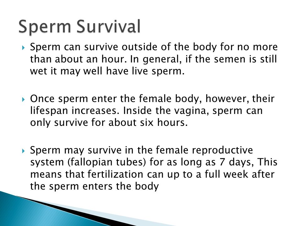 How Long Does Sperm Live Inside A Woman 31