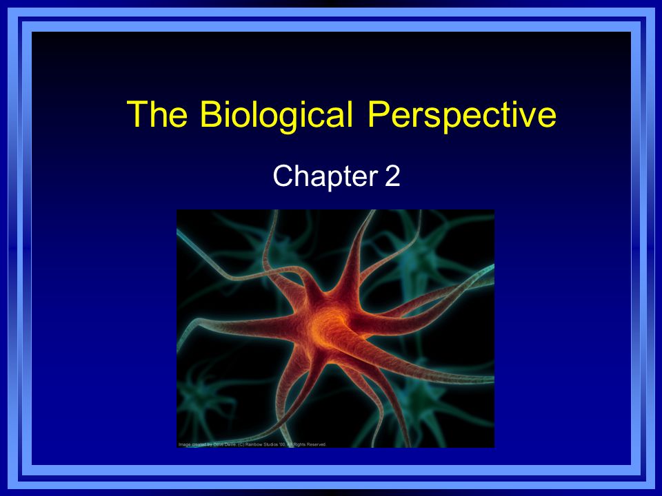 buy handbook of neurochemistry