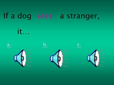 If a dog sees a stranger, it… a. b. c..