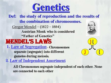 Genetics Mendel’s Laws