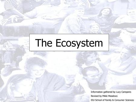 The Ecosystem Information gathered by Lucy Campanis
