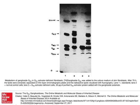 Metabolism of ganglioside GM2 in GM2 activator-deficient fibroblasts