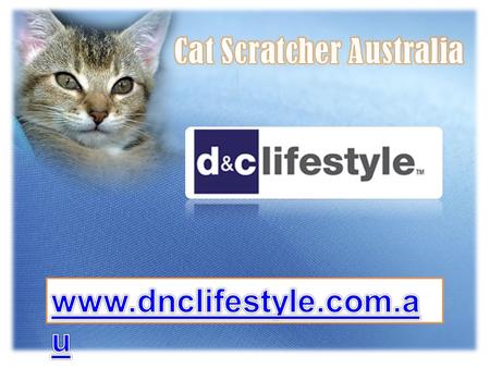 Cat Scratcher Australia - dnclifestyle.com.au