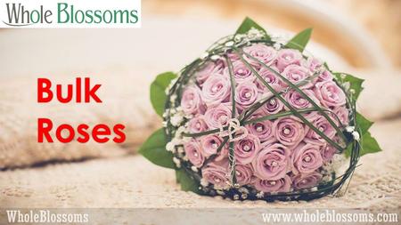 Bulk Roses. Organic Wholesale Roses
