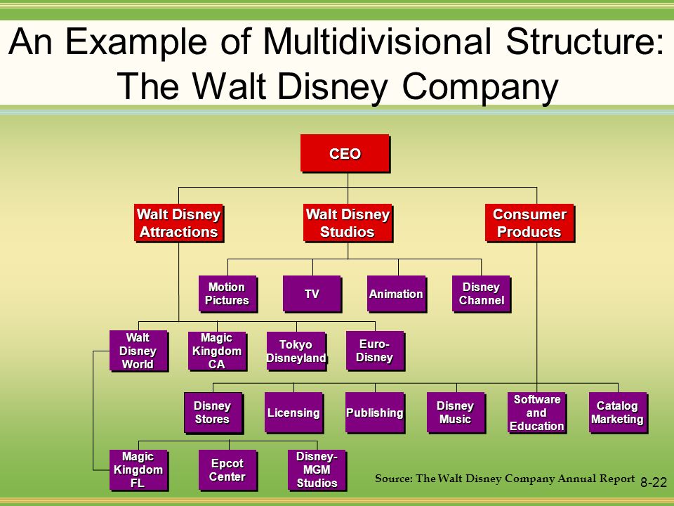 The Walt Disney Company Organizational Structure Chart