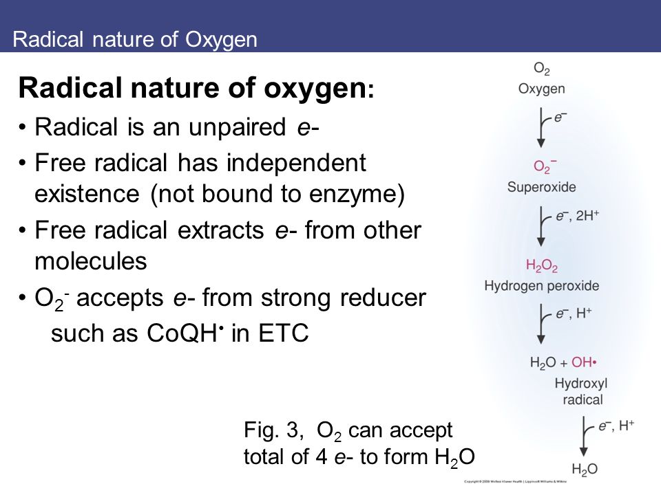 download compendium of theoretical physics