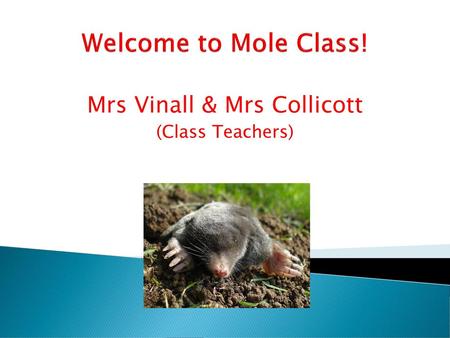 Mrs Vinall & Mrs Collicott (Class Teachers)