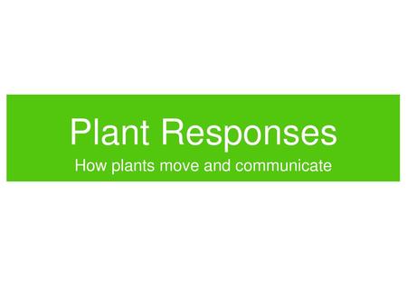 How plants move and communicate