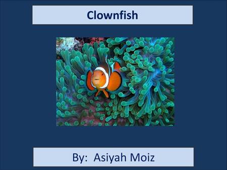 Clownfish By: Asiyah Moiz