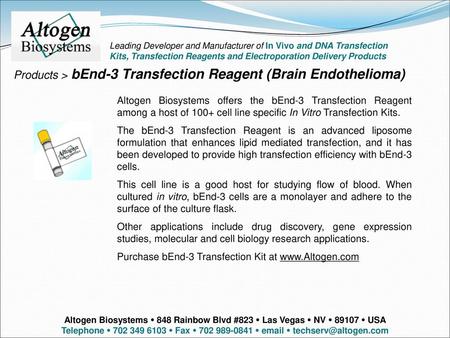 Products > bEnd-3 Transfection Reagent (Brain Endothelioma)