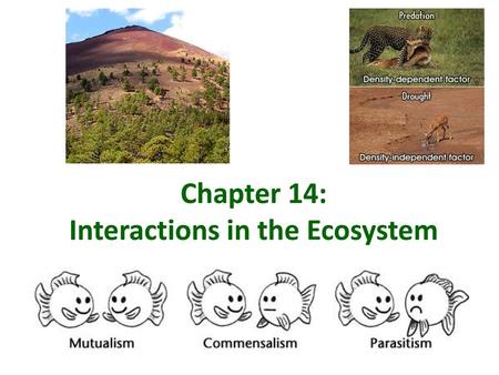 Chapter 14: Interactions in the Ecosystem