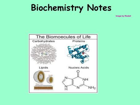 Biochemistry Notes Image by Riedell.