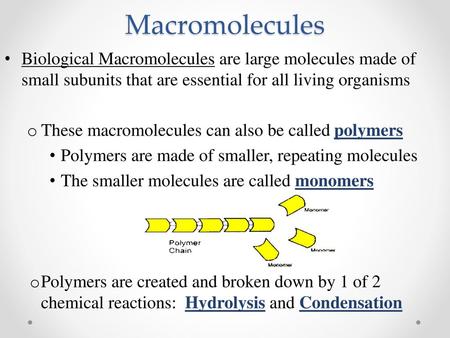 Macromolecules Biological Macromolecules are large molecules made of small subunits that are essential for all living organisms These macromolecules can.