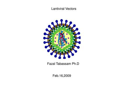 Lantiviral Vectors Fazal Tabassam Ph.D Feb.16,2009.