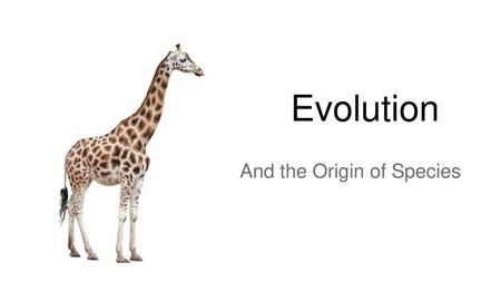 And the Origin of Species