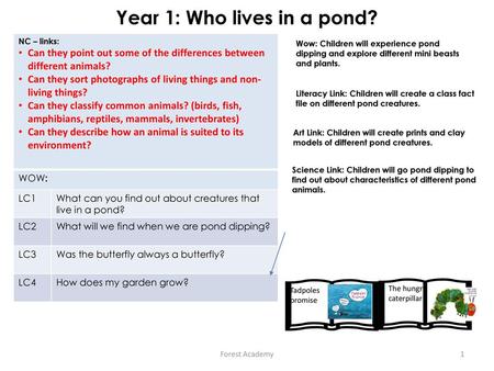 Year 1: Who lives in a pond?