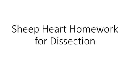 Sheep Heart Homework for Dissection