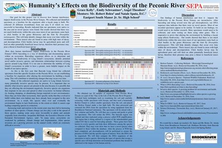 Humanity’s Effects on the Biodiversity of the Peconic River